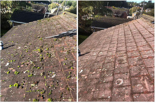 moss removal london